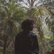 Load image into Gallery viewer, FKJ / Vincent (FKJ007LP, 2LP)