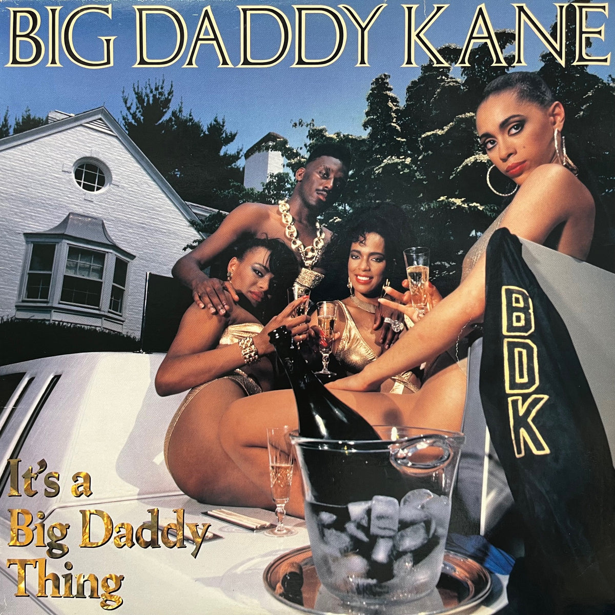 オリジナル美品 BIG DADDY KANE LP HIPHOP R&B BIG DADDY KANE / It's A Big Daddy Thing (1-25941, LP) – TICRO MARKET