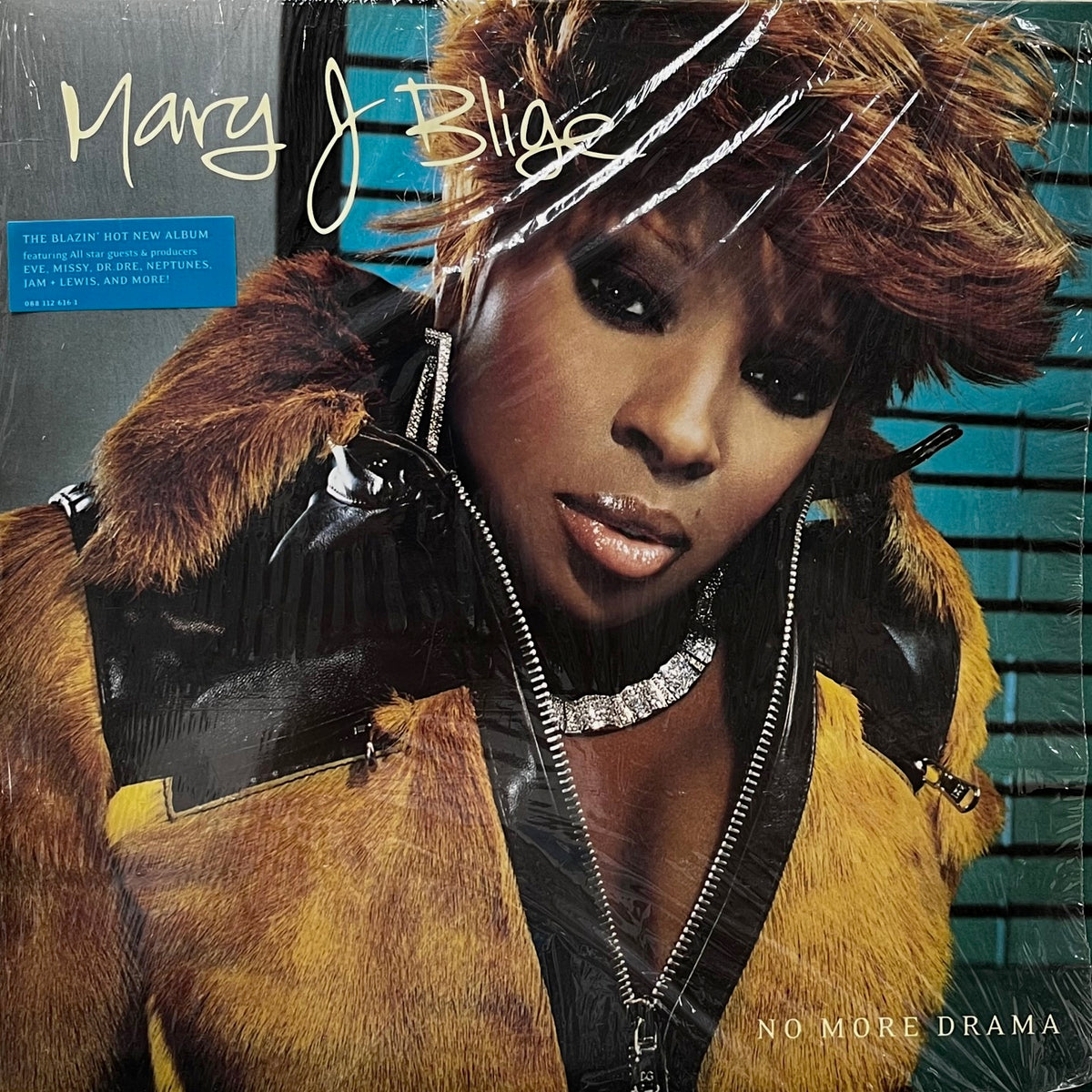 Mary J. Blige - Mary レコード MARY J. BLIGE / MARY (US-2LP) - SOURCE RECORDS (ソースレコード）