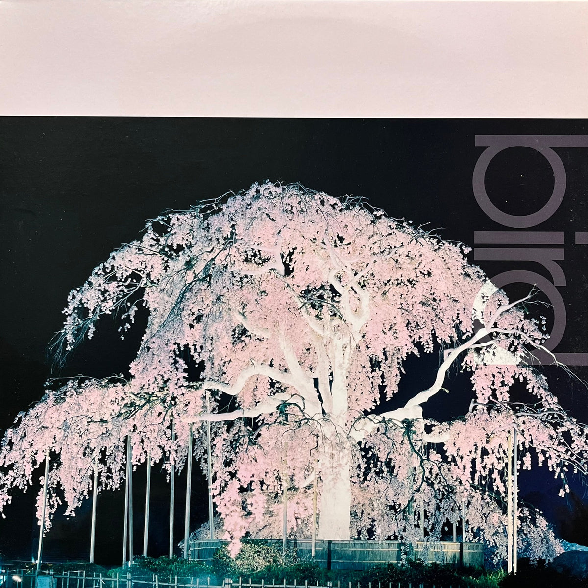 BIRD / 桜 (AIJT5097, 12inch) – TICRO MARKET