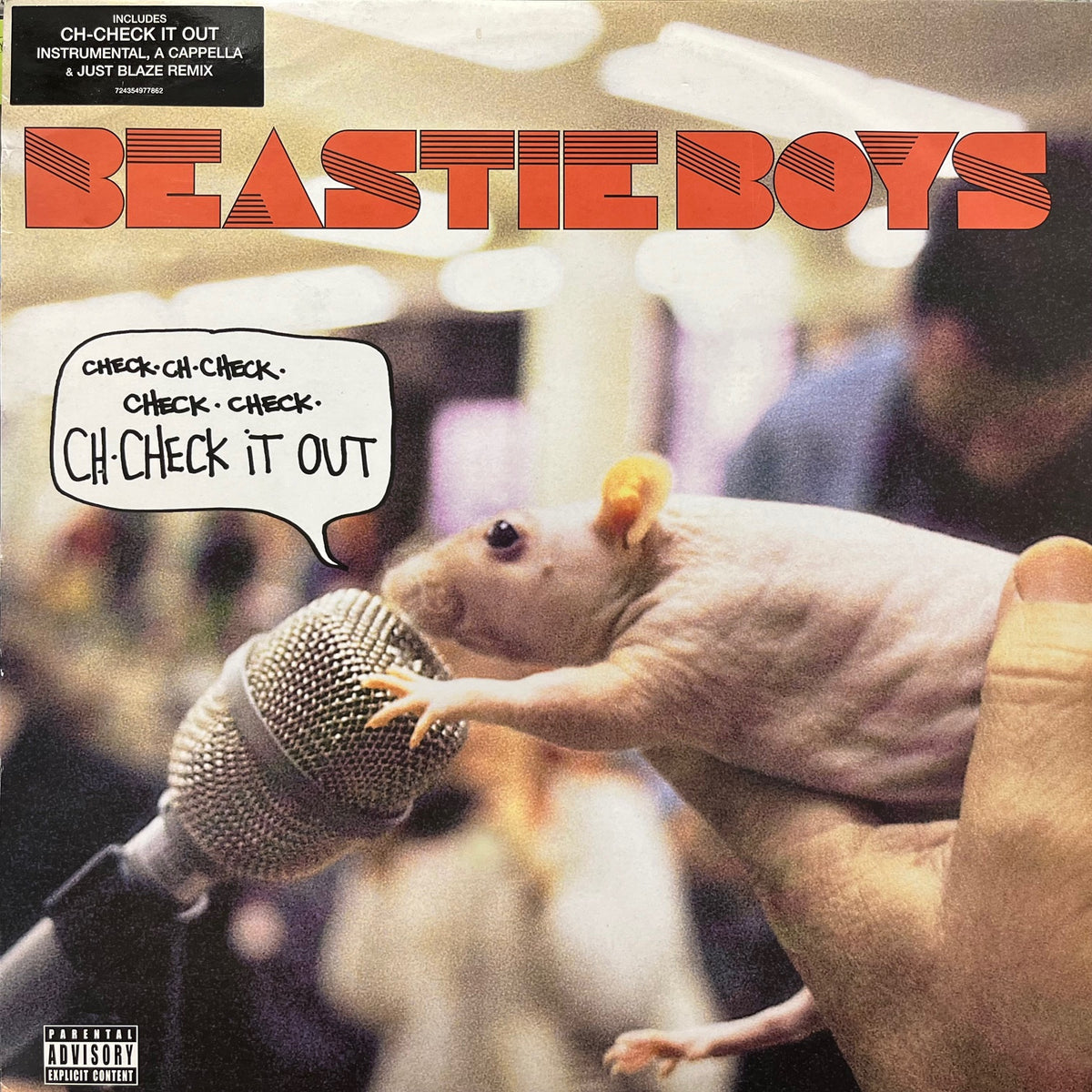 大きな手Beastie Boys レコード コレクション 大きな手様専用Beastie