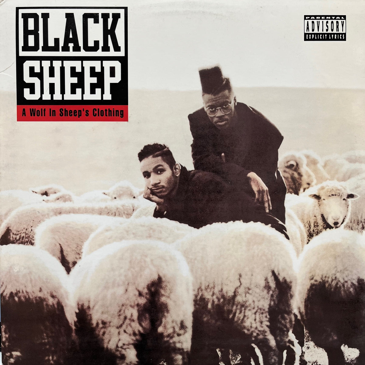 BLACK SHEEP / A Wolf In Sheep's Clothing (Reissue, LP) – TICRO MARKET