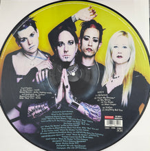 Load image into Gallery viewer, COAL CHAMBER / Chamber Music ( Roadrunner Records – RR 8659-1, LP) Picture Disc