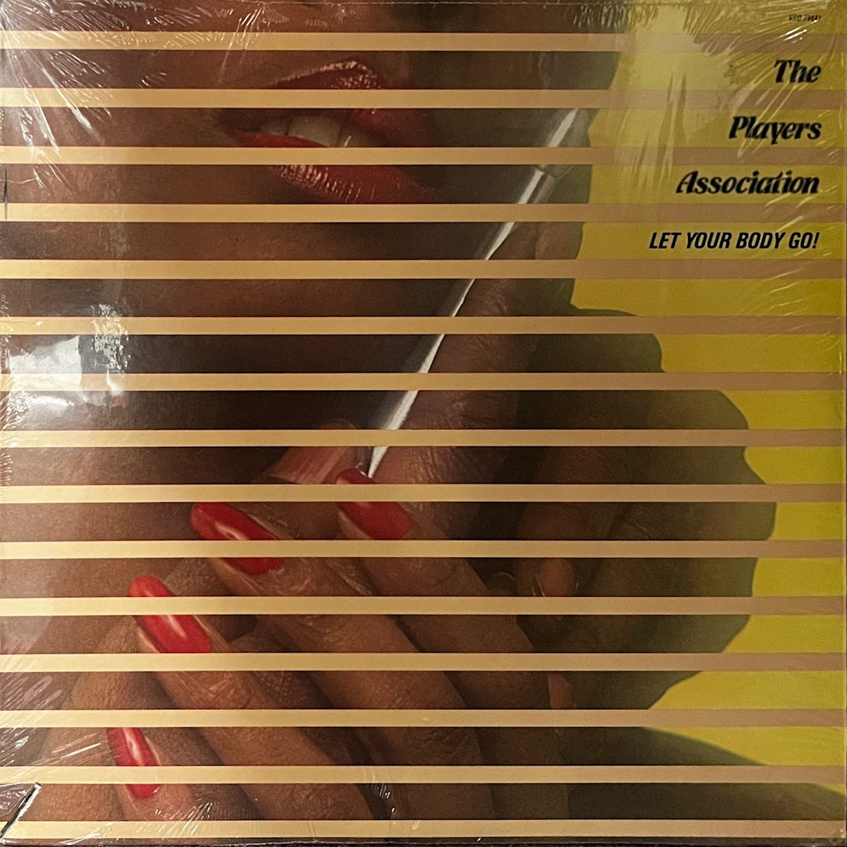 PLAYERS ASSOCIATION / Let Your Body Go! (VSD 79441, LP) – TICRO MARKET