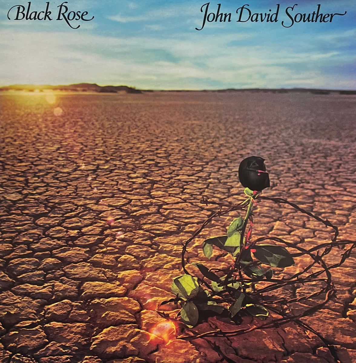 IMG_4559_643419c0-e4ef-474e-