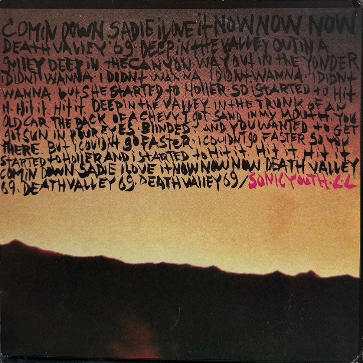 Sonic Youth • Lydia Lunch / Death Valley 69 / Brave Men Run (In My