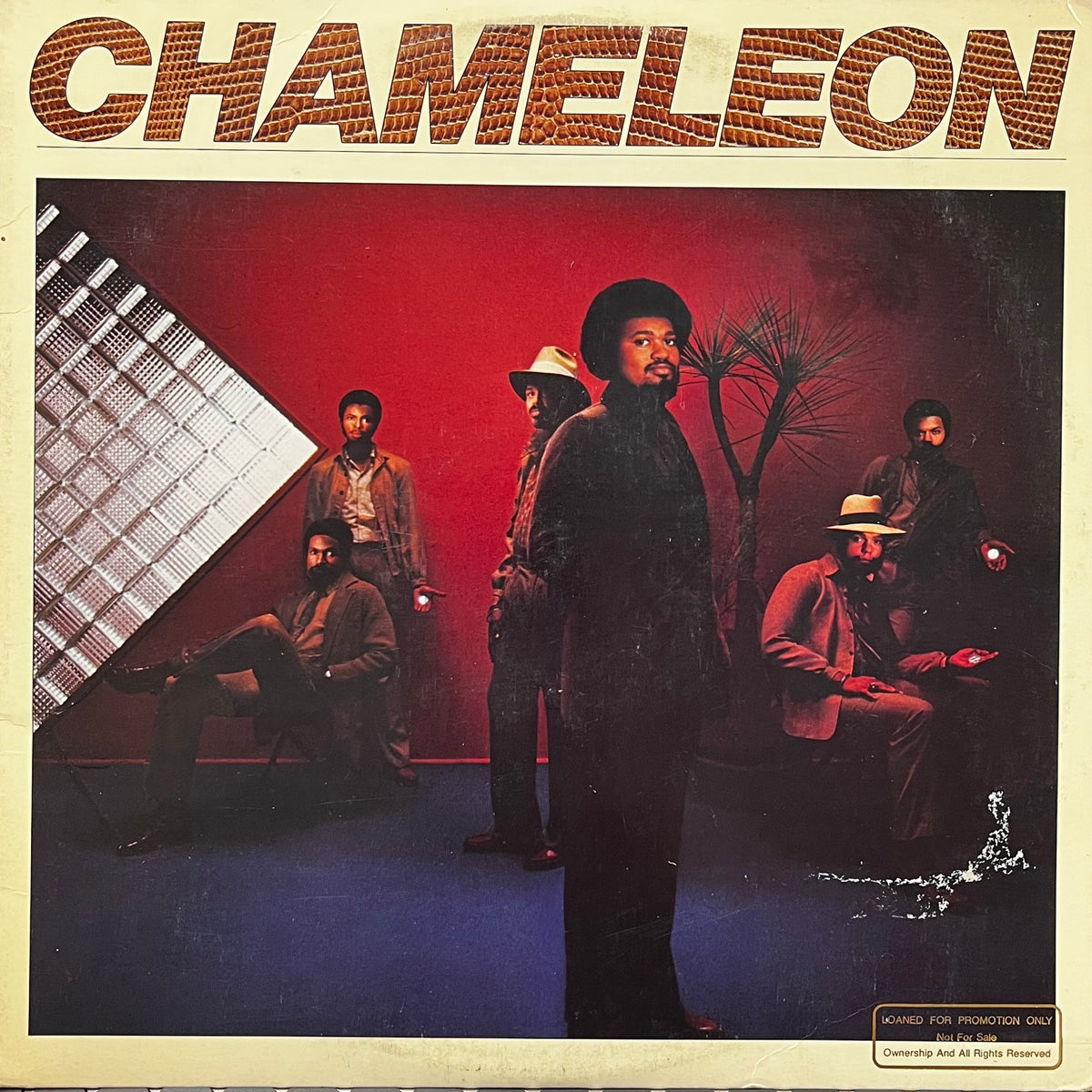 Chameleon / Chameleon (6E-190, LP) – TICRO MARKET