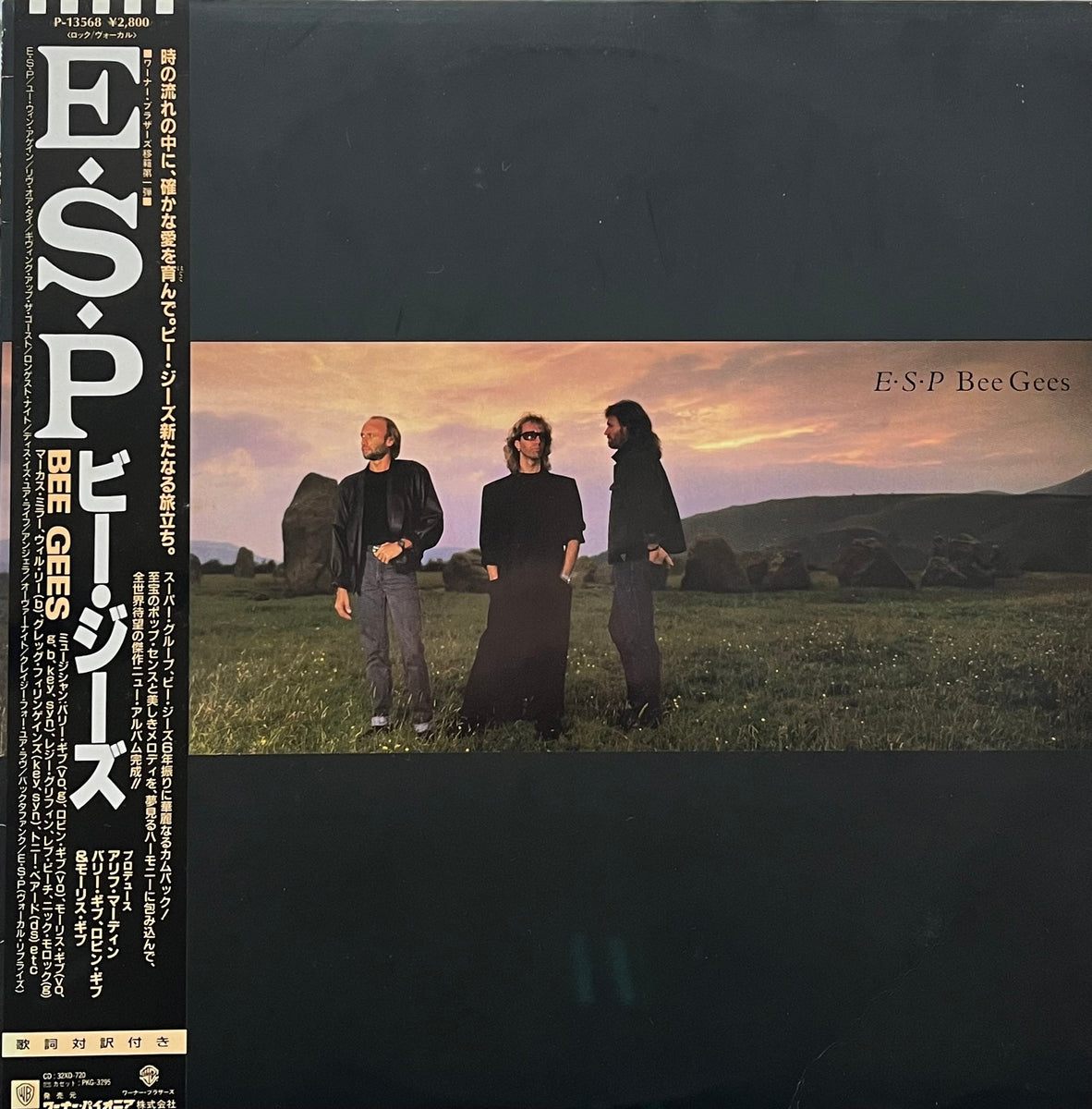 LP/ビー・ジーズ/E・S・P　P-13568　帯付　h308w73 IMG_6342_60509996-b06f-48ec-