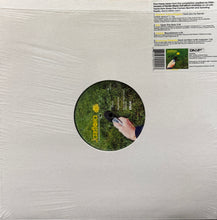 Load image into Gallery viewer, V.A. (Hird, Elsa) / Jazzflora EP (Scandinavian Aspects Of Jazz) (DNM – DNMEP006, 12inch)