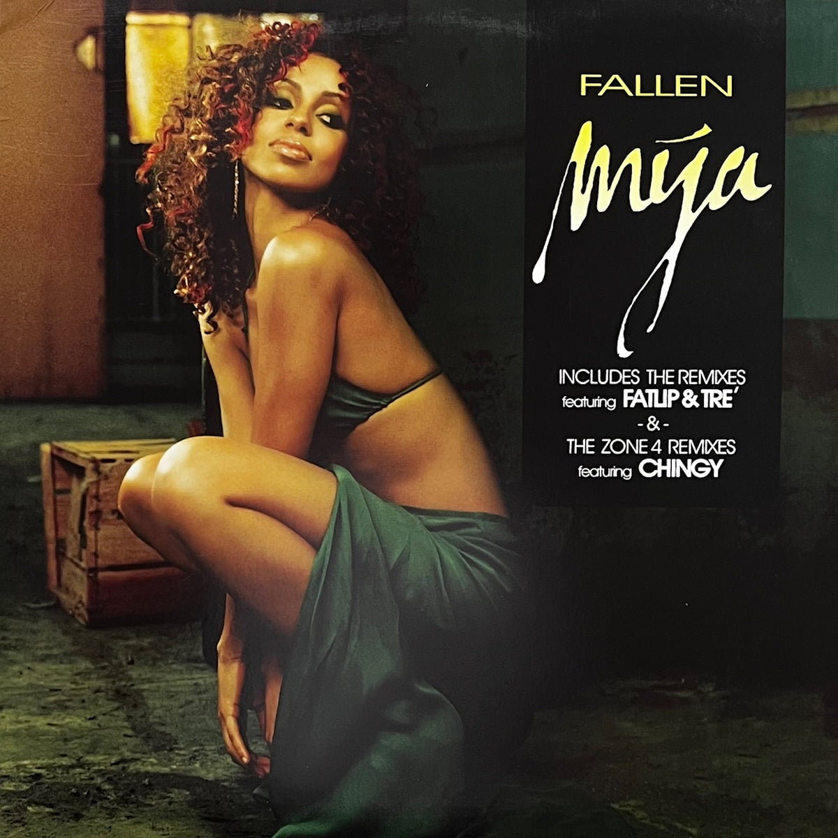 MYA / Fallen (AMRR-11049-1, 12inch) – TICRO MARKET