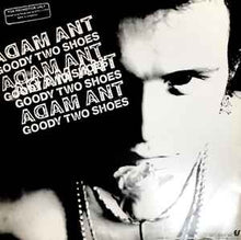 Load image into Gallery viewer, George Duke / Adam Ant – Dream On / Goody Two Shoes (Epic 12INCH)