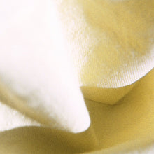 Load image into Gallery viewer, カネコアヤノ / よすが ( inc. 抱擁 ) 1994 Co., Ltd. – NNFS-1007, Clear Vinyl LP 帯付