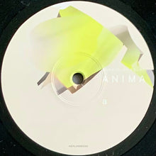 画像をギャラリービューアに読み込む, VLADISLAV DELAY / Anima ( KeplarRev – KeplarRev09LP, 2LP)