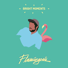 画像をギャラリービューアに読み込む, FLAMINGOSIS / Bright Moments ( Vinyl Digital, VinDig203, LP)
