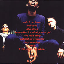 Load image into Gallery viewer, MASSIVE ATTACK / Blue Lines (Wild Bunch Records – 5700960, LP)