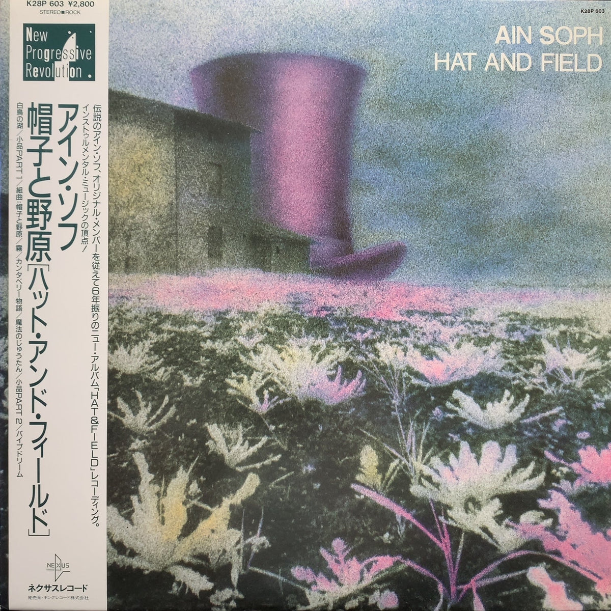 AIN SOPH / Hat And Field 帽子と野原 (K28P 603, LP)帯付 – TICRO MARKET