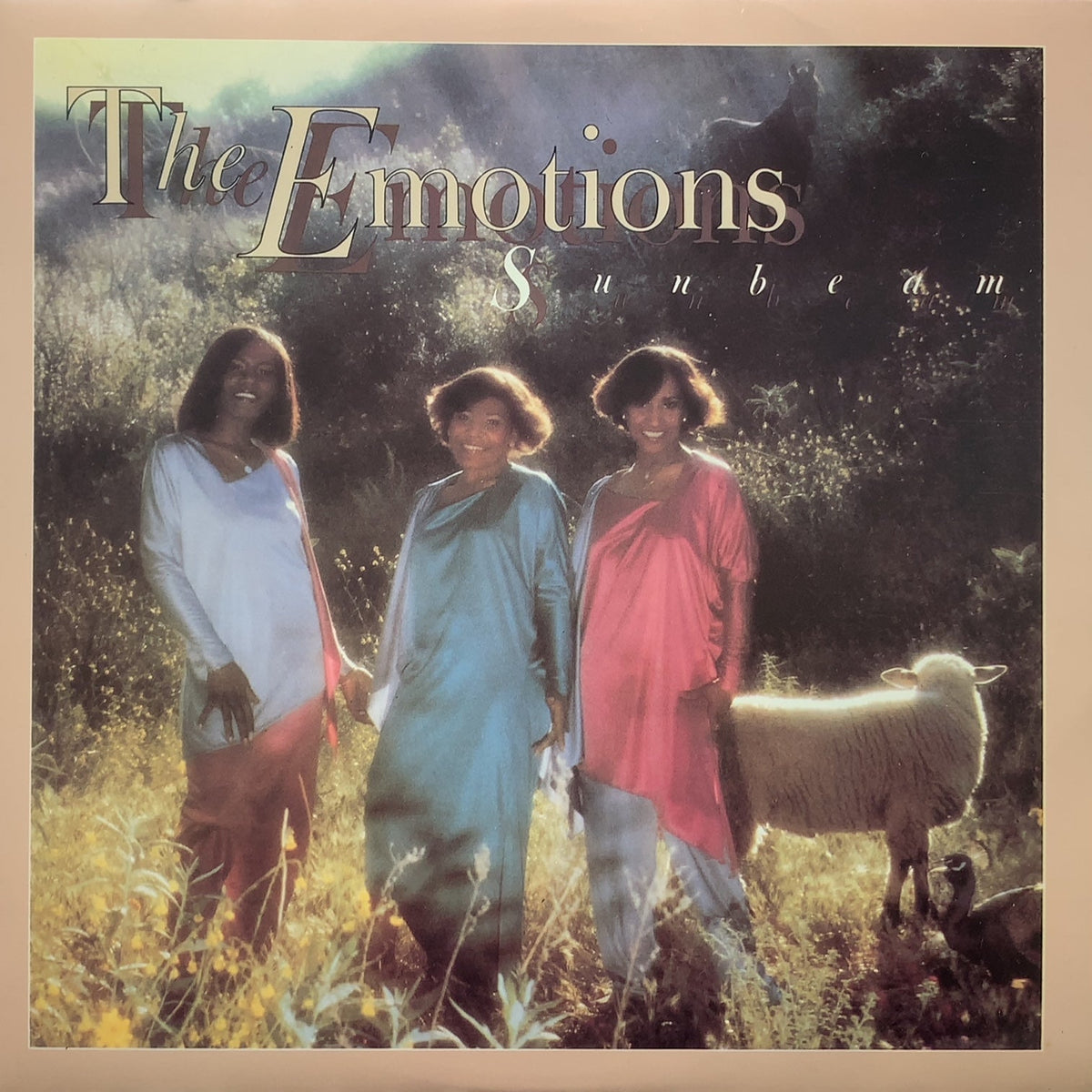 EMOTIONS / Sunbeam (Reissue, LP) – TICRO MARKET