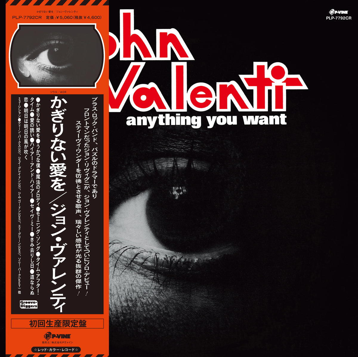 予約受付中 2026年1月21日発売】JOHN VALENTI / Anything You Want (P