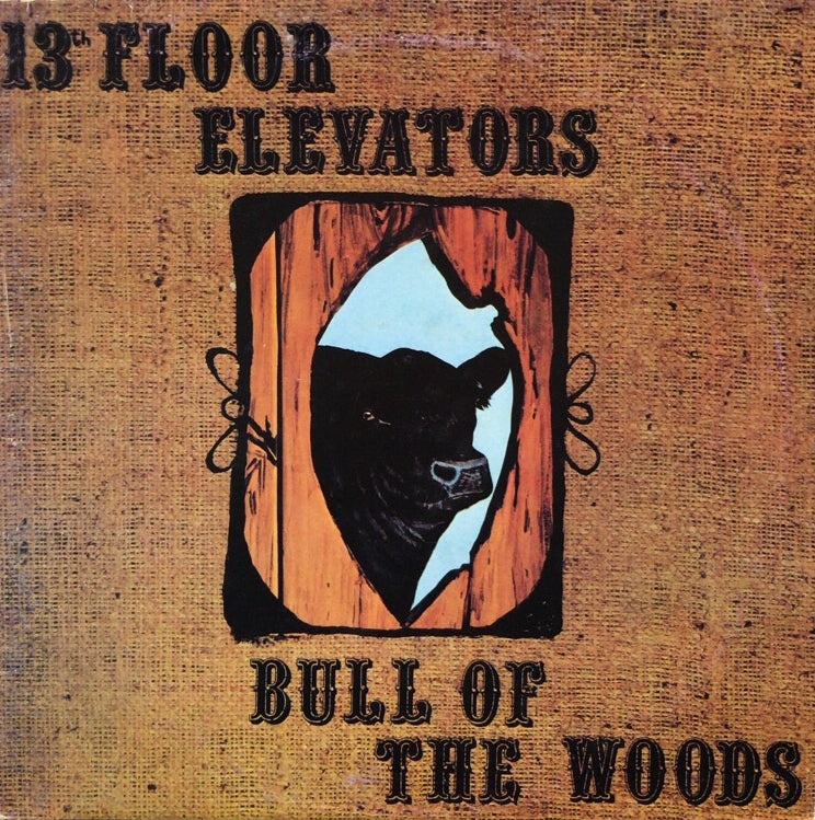 13TH FLOOR ELEVATORS / Bull Of The Woods – TICRO MARKET