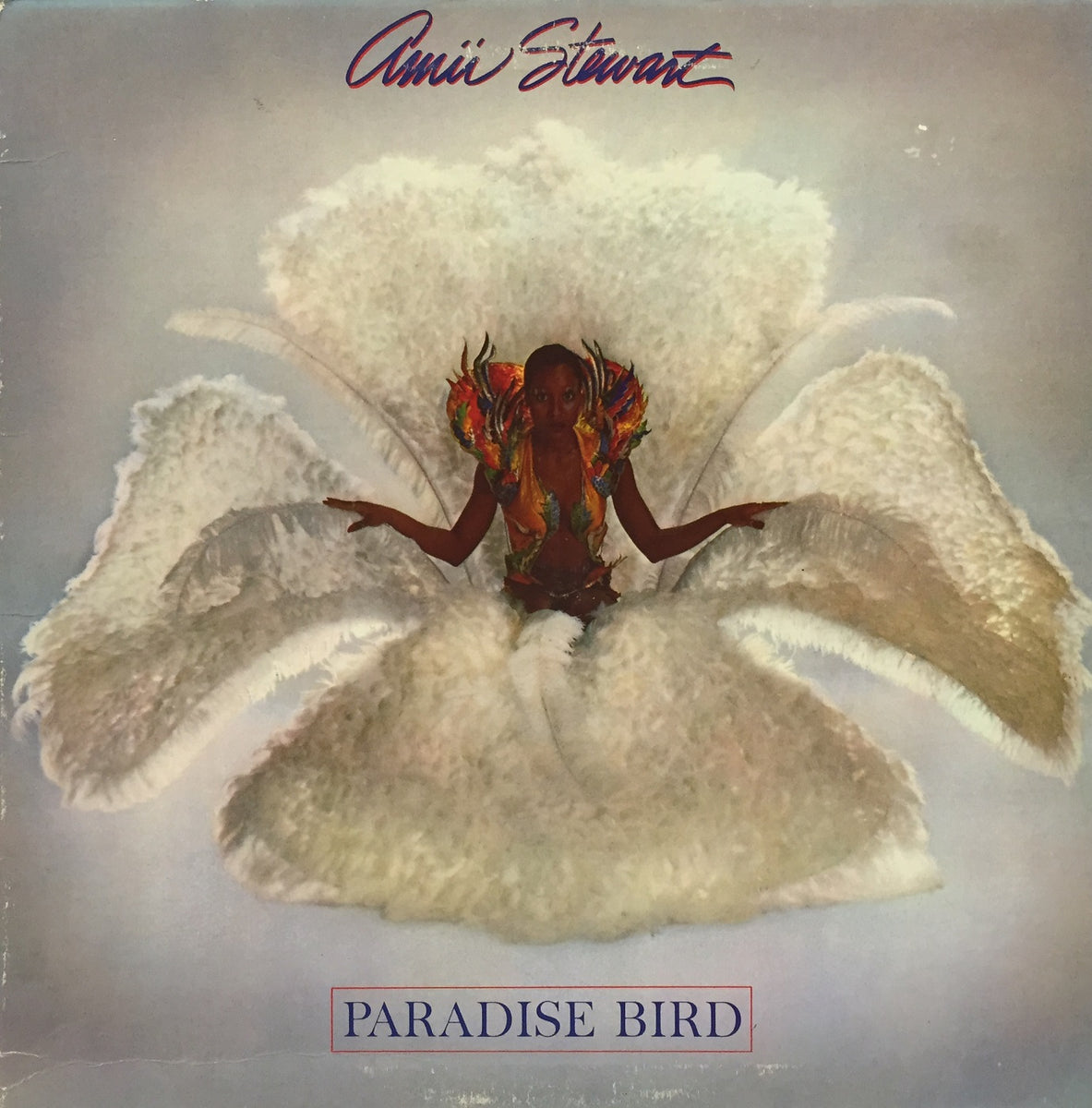 AMII STEWART / PARADISE BIRD – TICRO MARKET