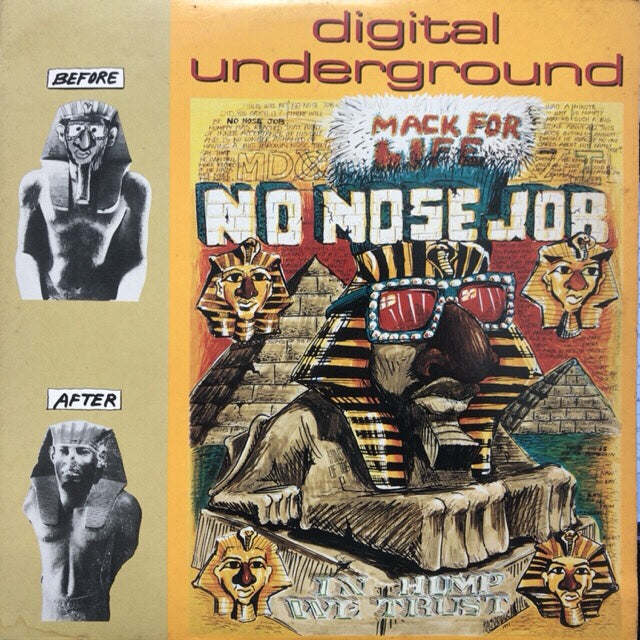 DIGITAL UNDERGROUND / NO NOSE JOB TICRO MARKET