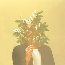 画像をギャラリービューアに読み込む, FKJ / French Kiwi Juice