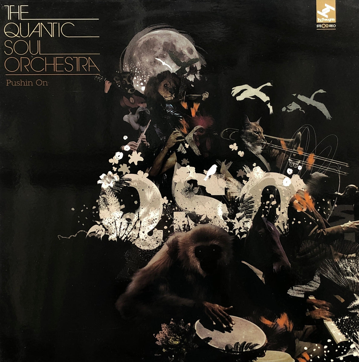 QUANTIC SOUL ORCHESTRA / Pushin