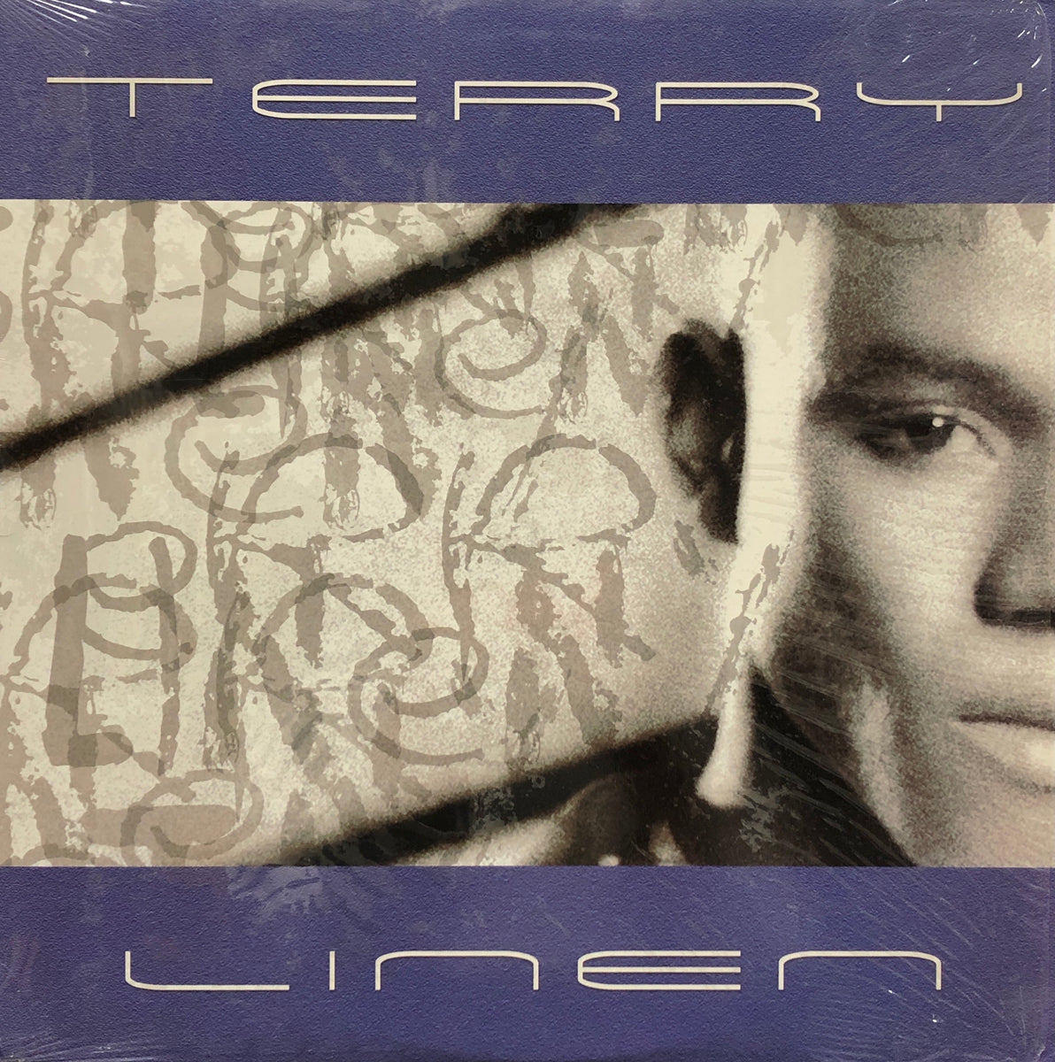 ☆名盤☆ テリーリネン Terry Linen アルバム LP - 洋楽