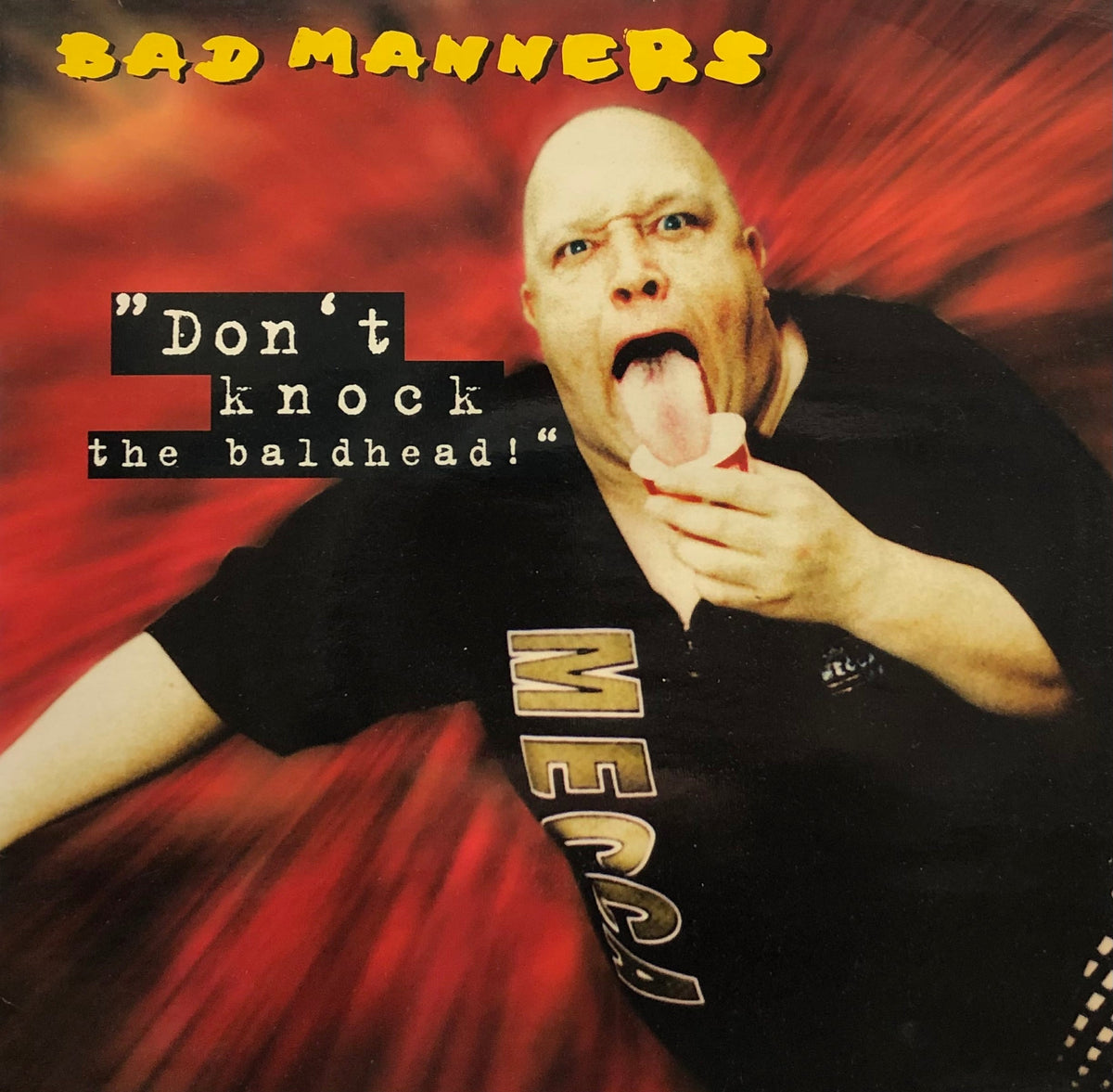 レコード】BAD MANNERS / stupidity ピクチャーレコード 【公式通販】