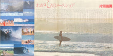 画像をギャラリービューアに読み込む, V.A. (Cecillio & Kapon) / The North Shore Dreamin' (LP)