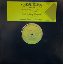 Load image into Gallery viewer, VINNIE COLAIUTA / With A Lil' Help From My Friends Volume.1