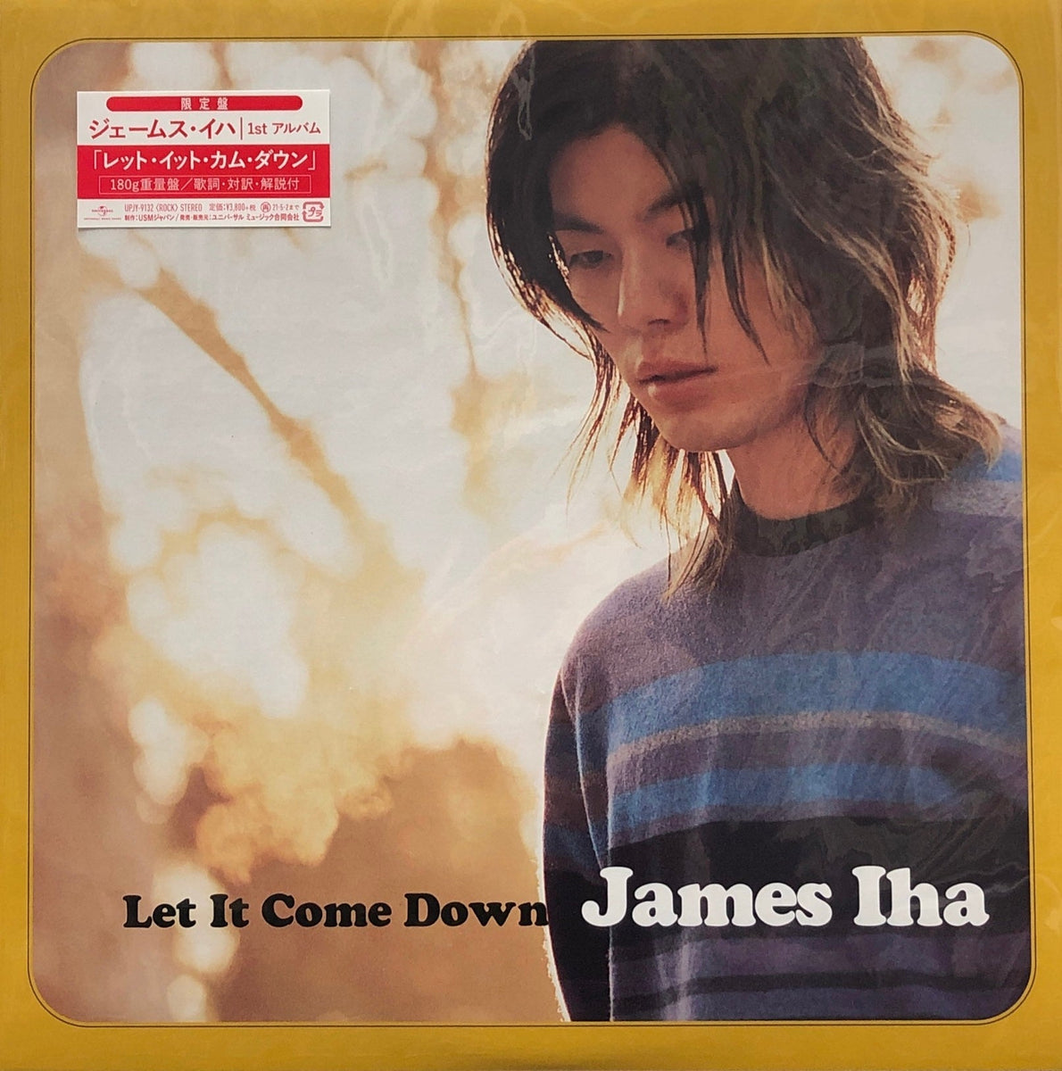 ジェームス・イハ James Iha レコード 国内限定盤 貴重 UKオリジナル盤 レコード James Iha ジェームス・イハ