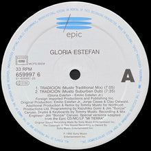 Load image into Gallery viewer, GLORIA ESTEFAN / Tradicion / Mi Tierra Remix 12inch