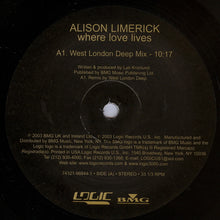 Load image into Gallery viewer, ALISON LIMERICK / Where Love Lives (12inch X 2)