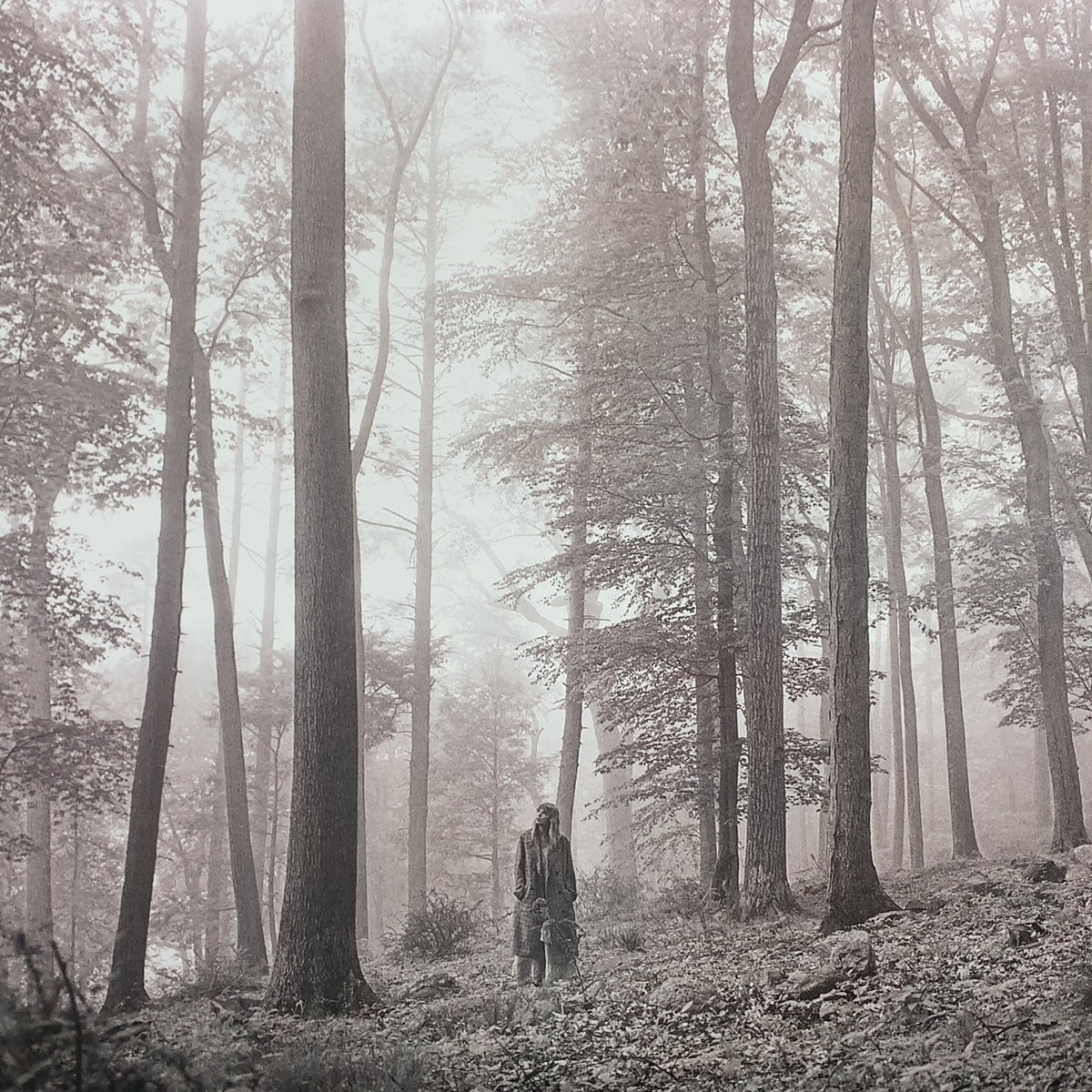 TAYLOR SWIFT / Folklore (00602435034881, 2LP) Brown Vinyl 
