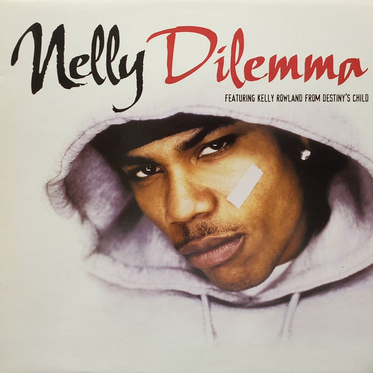 DILEMMA Nelly LP レコード HIPHOP R&B - 洋楽