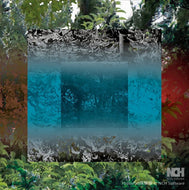 asflip (Vegpher＋T.B.) / From 2010 EP (OTONOHAEP02, 12inch)