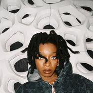 LITTLE SIMZ / No Thank You (Age 101 Music, Age 101 Music, FLO00016LP, 2LP) Clear Vinyl)