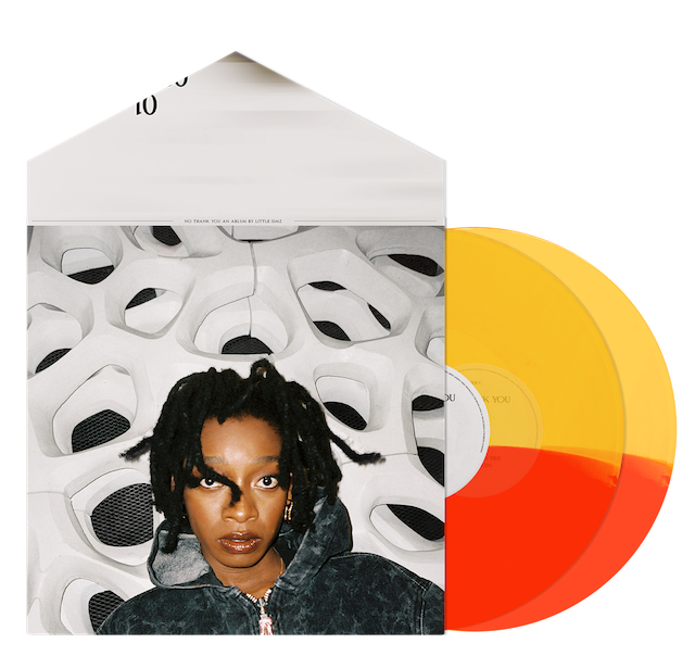 LITTLE SIMZ / NO THANK YOU 帯付 (Red & Yellow Vinyl) (Age 101