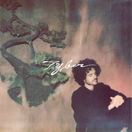 FKJ  (French Kiwi Juice) / Tyber (FKJ011BR) 帯付 Clear Vinyl