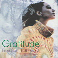 V.A. (Maryann Farra & Satin Soul, Sharon Ridley) / SUBURBIA  Free Soul Treasure 2 (LP)