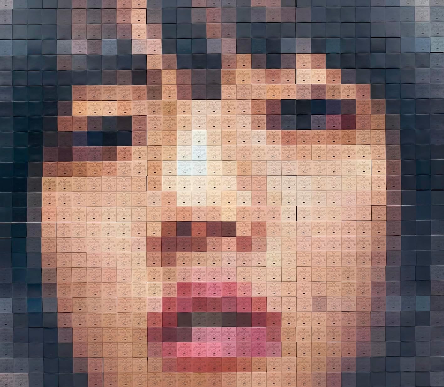 新品 2LP　あいみょん　猫にジェラシー あいみょん / 猫にジェラシー / 2LP | Record CD Online Shop