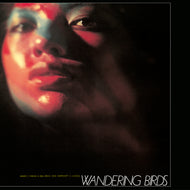 稲垣次郎とソウル・メディア / PWandering Birds 女友達 (	Nipponophone – COJY9552, LP) 帯付