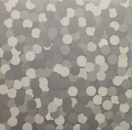 INNERZONE ORCHESTRA / BUG IN THE BASSBIN