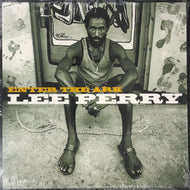 LEE PERRY / Enter The Ark (Pressure Sounds, ANLP023, LP)