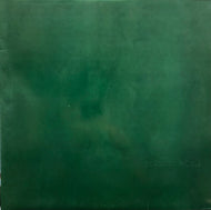 SKANKIN' PICKLE / The Green Album (Dr. Strange, DSR-42, LP)