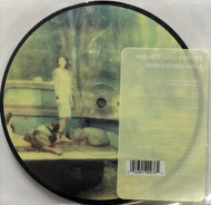 RED HOT CHILI PEPPERS / Desecration Smile (Picture Disc) (Warner Bros, W756, 7inch)