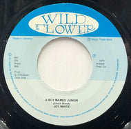 JOY WHITE / A Boy Named Junior (Wild Flower, 7Inch)