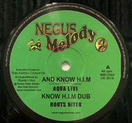 AQUA LEVI - ERROL BELLOT / And Know H.I.M / Seek Jah First (Negus Melody, NM12002, 12inch)