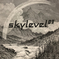 SKYLEVEL / Skylevel 03 (SKYLEVEL 03, 12inch)